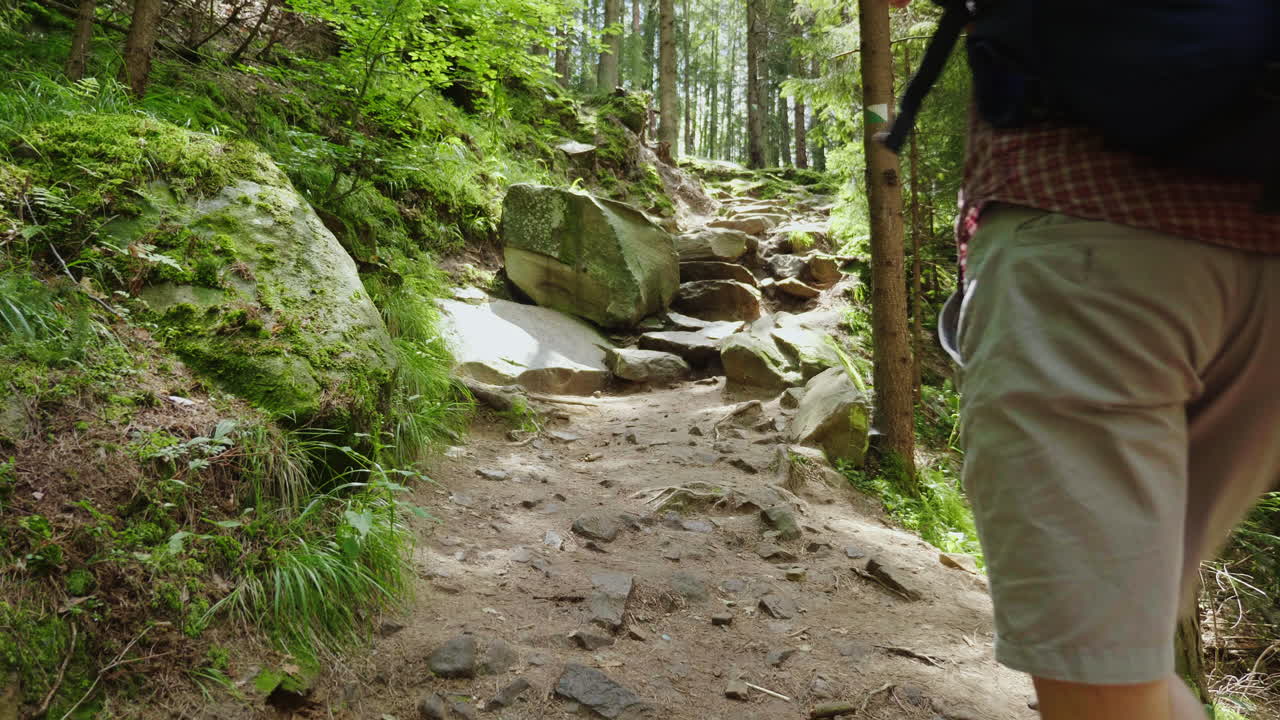 tres turistas con mochilas suben por un empinado camino rocoso en la aventura forestal y la vida activa