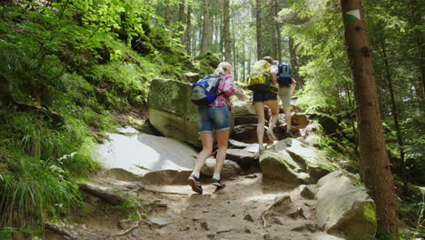 three tourists with backpacks climb up a steep rocky path in the forest adventure and active lifesty