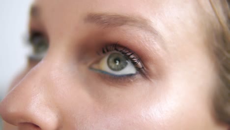 Der-Visagist-Bemalt-Die-Wimpern-Des-Unteren-Augenlids-Mit-Einem-Professionellen-Pinsel.-Mädchenmodell-Mit-Blauem-Eyeliner-Auf-Der-Unterseite