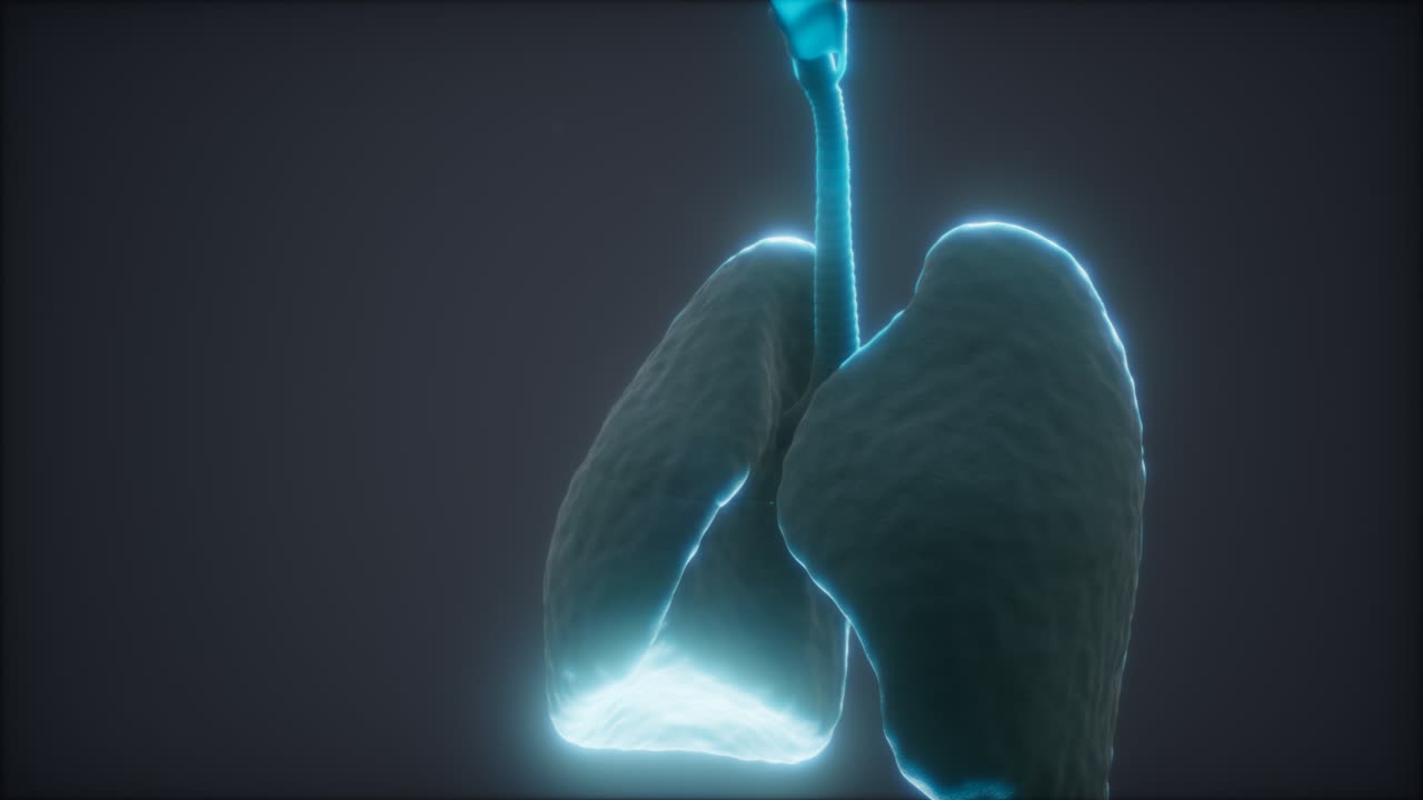 animación en 3d de los pulmones humanos