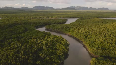 Aerial-drone-footage-over-green-mangroves-in-Koh-Lanta,-Thailand-with-scenic-views-during-daytime-with-hills-on-the-horizon