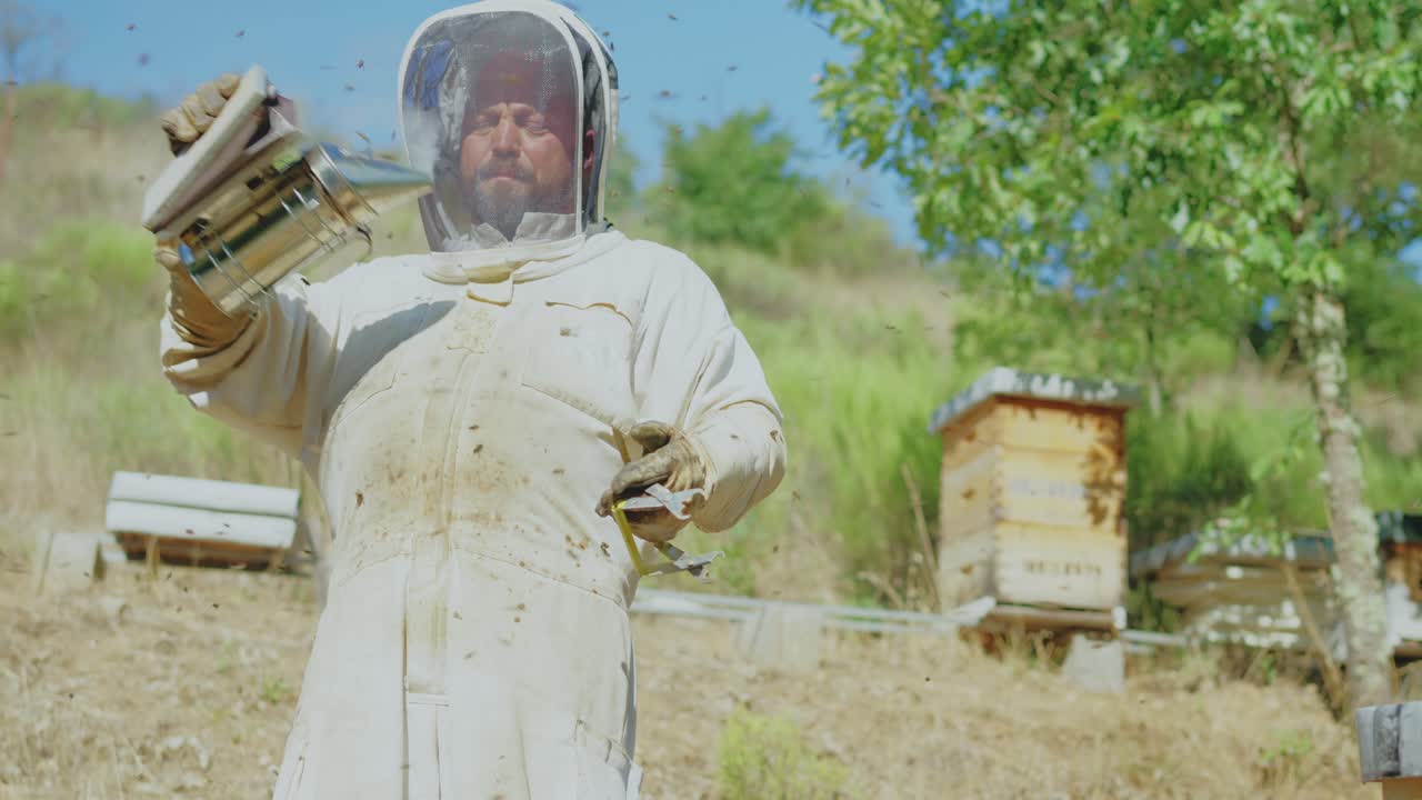 A beekeeper tending to beehives in an outdoor apiary