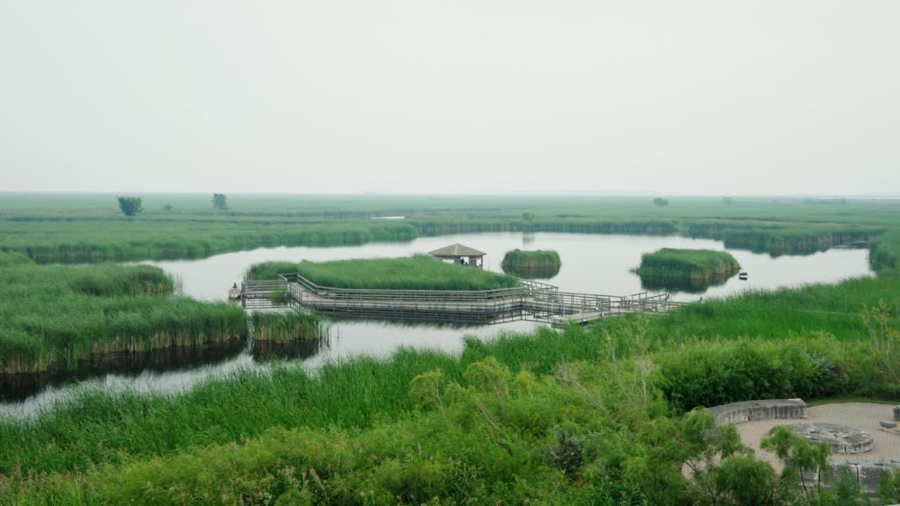 Scenic wetland landscape with reeds and a wooden observation platform