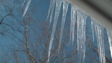 cold water fast dripping from iced stalactites attached on roof ledge