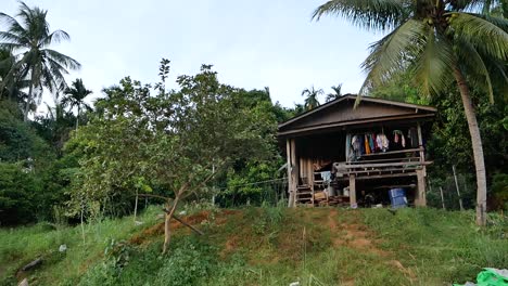 wooden home in rural area of thailand surrounded by trees