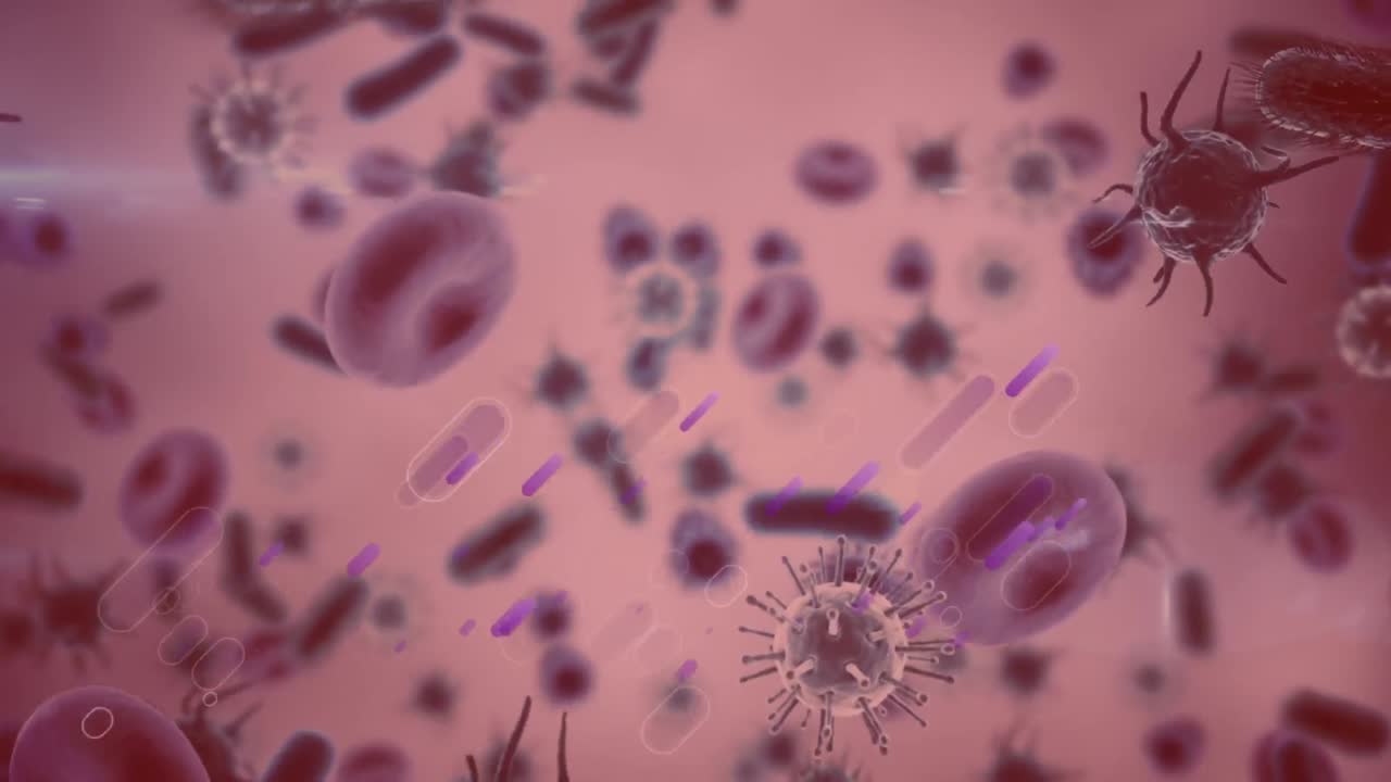 ⁇ 은 배경 위에서 움직이는 세포의 애니메이션