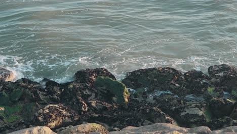 calm sea washing over dark mossy rocks along a quiet portuguese beach shore