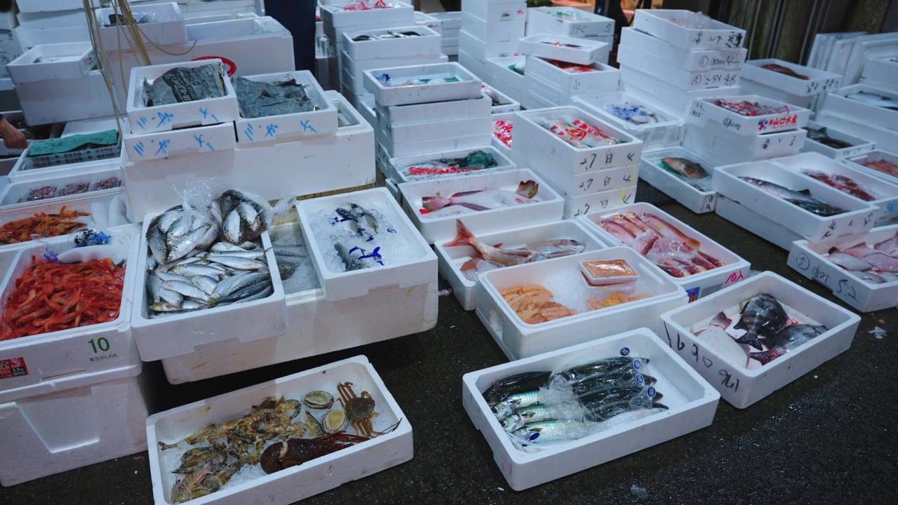 Fish Market in Early Hours, Variety of Mornings Catch in Osaka Japan