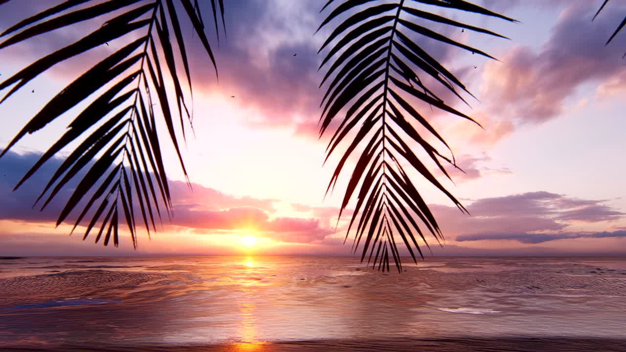 puesta de sol roja sobre el océano sin fin. cielo rojo, sol amarillo, palmeras, hermoso mar y paisaje marítimo. verano increíble puesta de sol en la costa del mar. animación en bucle.