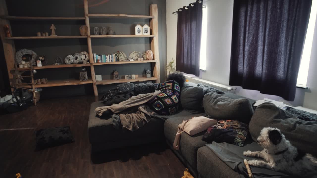 그녀의 강아지와 함께 거실에서 소파에서 자고 피곤한 여자