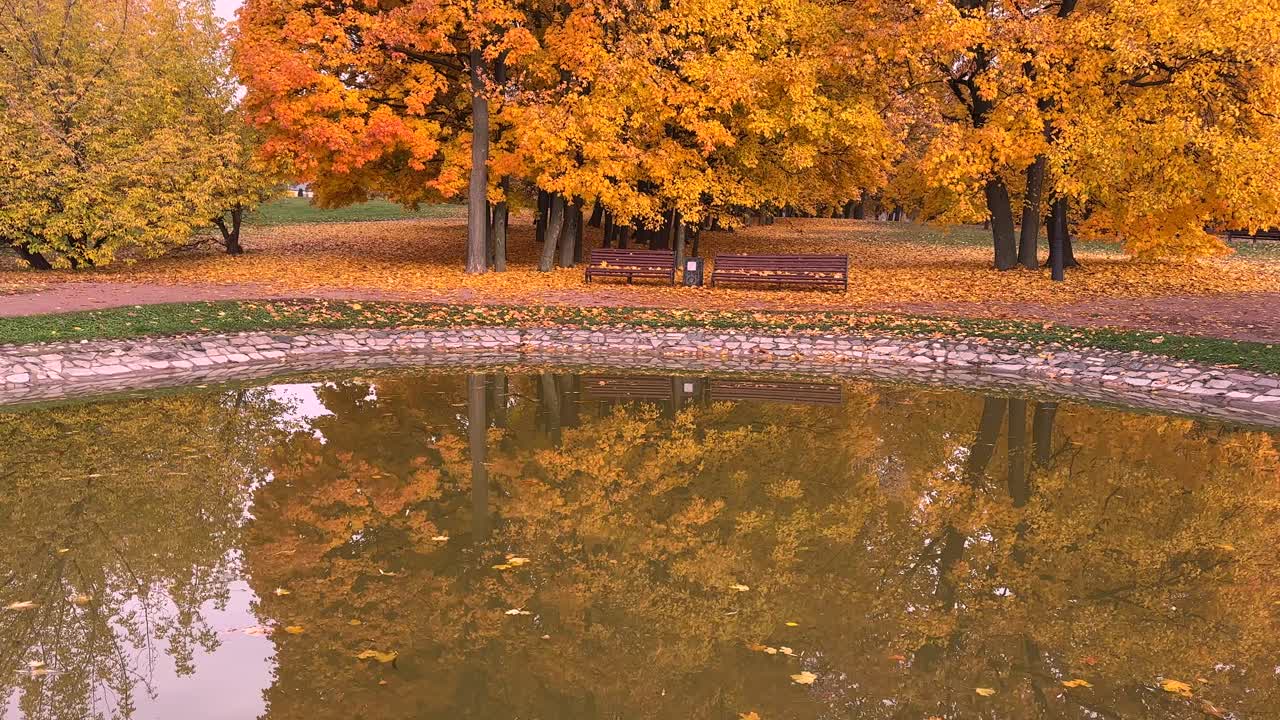 Yellow trees in the reflection (4K60)
