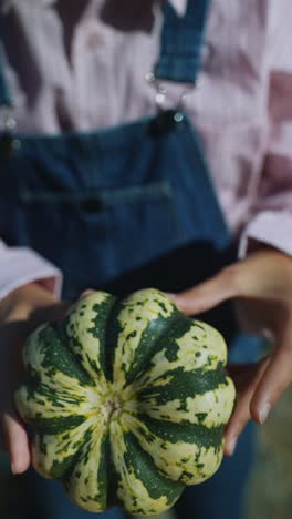 person holding a small pumpkin