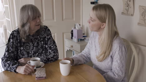 two women having tea and a conversation
