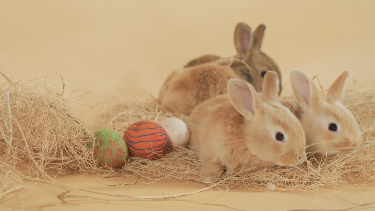 vibrantes huevos de pascua hechos a mano entre conejitos y nido de heno - plano medio
