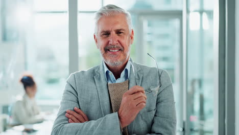 senior businessman portrait in office