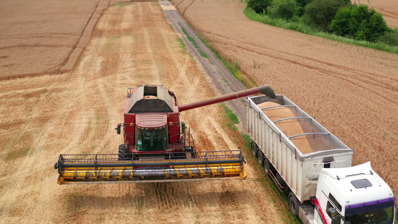 Case combine approaching to the tractor machine. Modern harvester uploading the picked crops into the lorry. Wheat field backdrop.