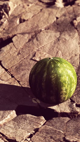 a ripe watermelon sitting on a stone surface