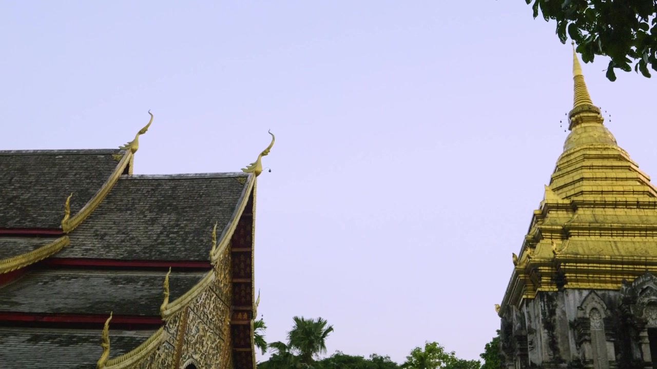 ภาพแพนกล้องวัดเชียงมั่นพร้อมเจดีย์สีทองในจังหวัดเชียงใหม่ ประเทศไทย