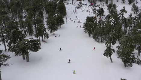 Montañas-Nevadas-Y-Bosques-De-Pinos-En-El-Mediterráneo