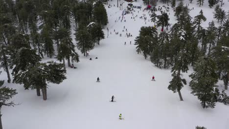 montañas nevadas y bosques de pinos en el mediterráneo
