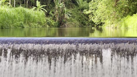 Pequeña-Presa-Utilizada-Con-Fines-Agrícolas-Por-Los-Agricultores,-Riego-De-Cultivos,-Protección-Contra-Inundaciones,-Almacenamiento-De-Agua,-Sostenibilidad-En-Bali