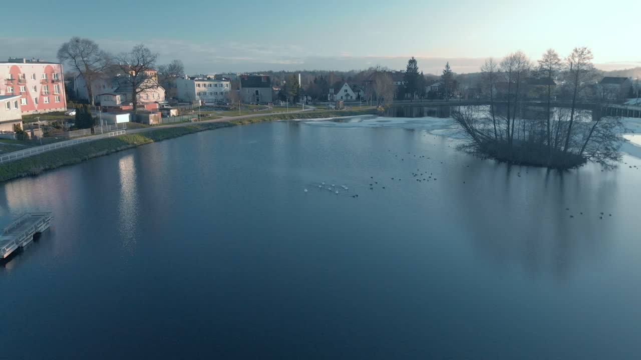 Aerial, Birds and swans swim on the pond, clear skies and a small pond in the middle of town
