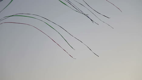 kites 04