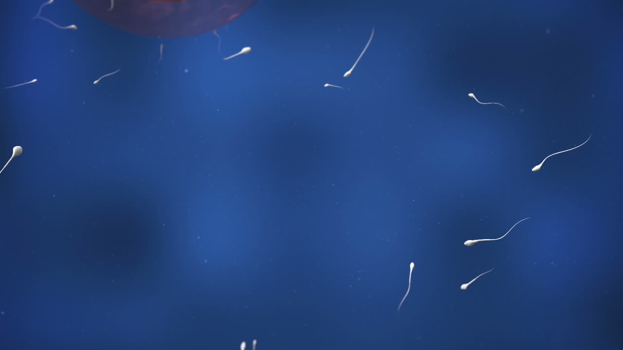 Óvulo en movimiento siendo fertilizado por espermatozoides.