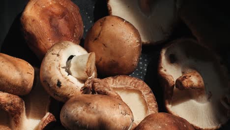 mushrooms in a pan