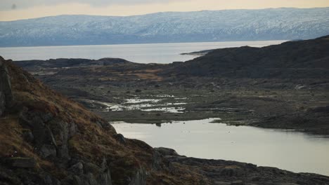 borde del océano y llanura de la tundra