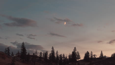 Susurros-A-La-Luz-De-La-Luna:-Dolly-Disfruta-De-La-Tranquilidad-En-El-Corazón-Del-Lago-Du-Bois