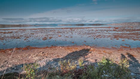 Low-tide-exposed-sandbank-covered-with-seaweed-and-kelp-disappeared-under-water-as-the-tide-rises-in-a-timelapse-video