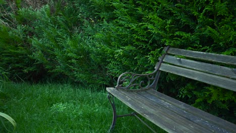 serene garden bench