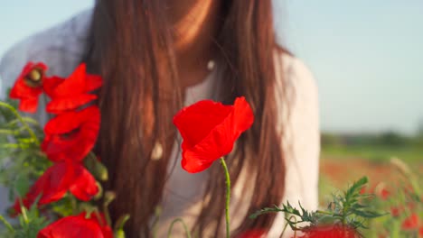 young caucasian woman holding a bouquet bends down to smell red poppy flower in field, handheld close up