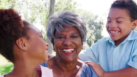 slow motion portrait of grandmother with grandchildren relaxing in park