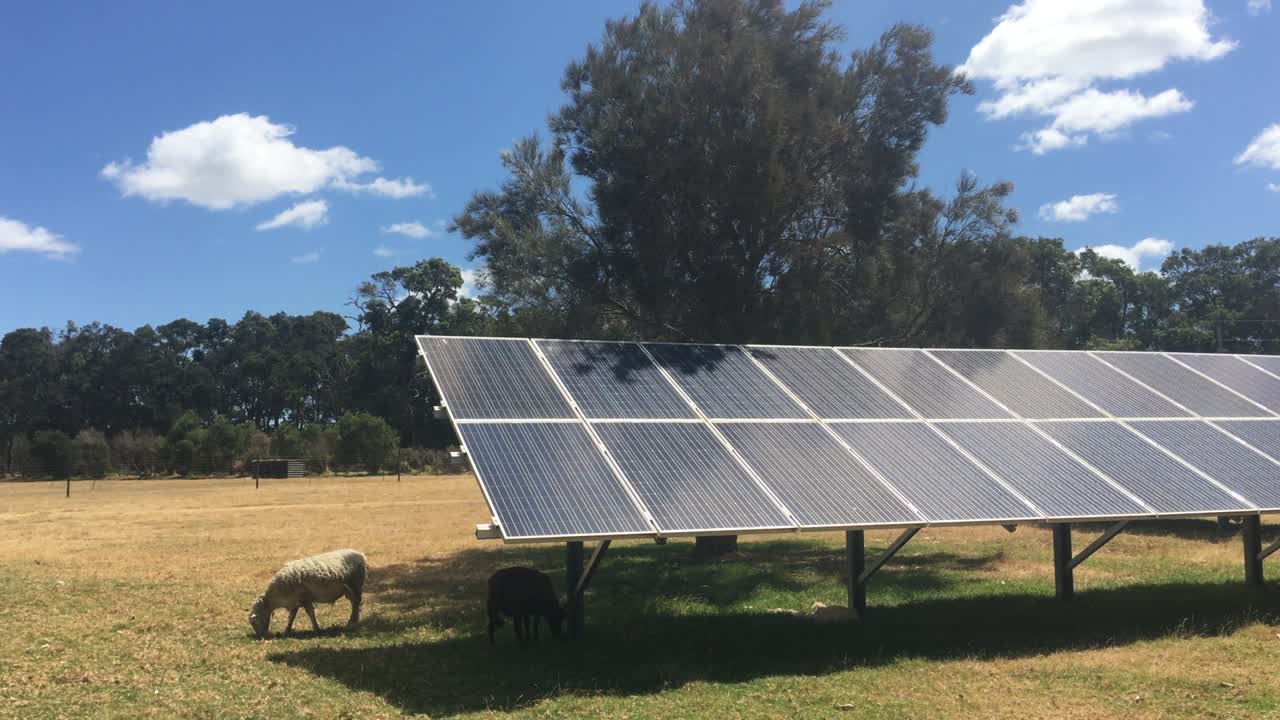paneles solares en una granja en australia occidental
