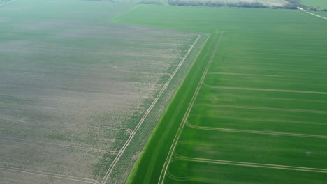 aerial view of agricultural fields with irrigation system