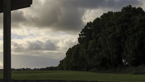 Hermoso-Jardín-En-Nueva-Zelanda,-Con-Nubes-De-árboles-Y-Un-Gran-Campo