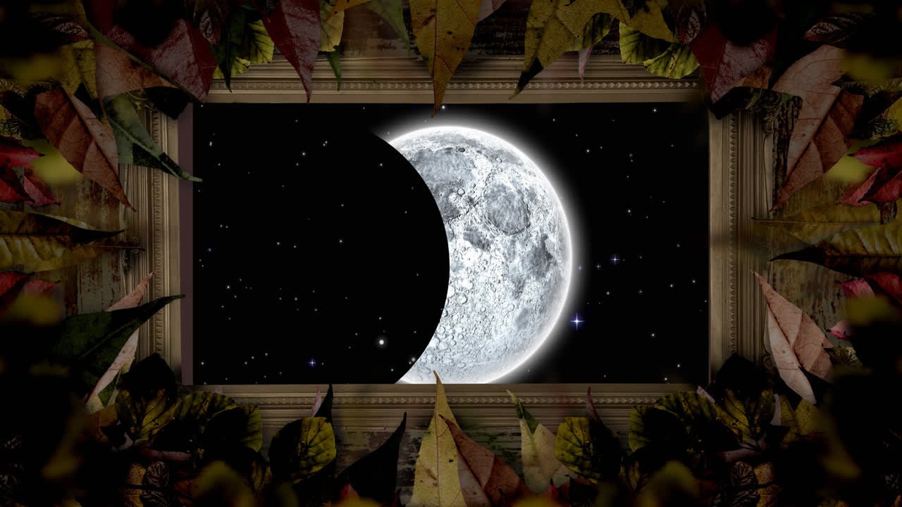 анимация лунного затмения в каркасе листьев