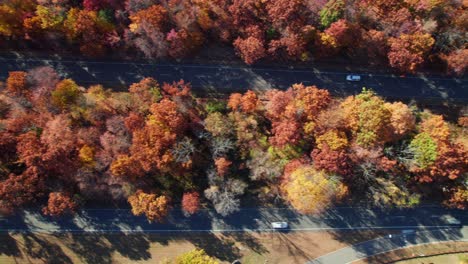 overhead aerial of vehicles on the palisades parkway in autumn, 4k