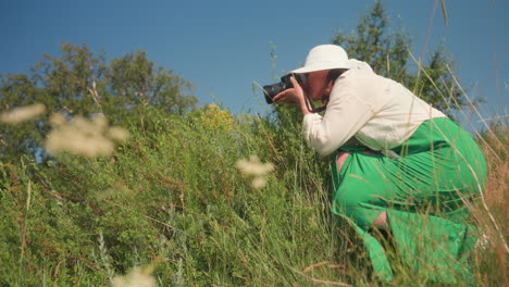 close up of delicate white wildflower in sharp focus with blurred background showing crouching adult in white hat and green dress taking photo in lush field under clear blue sky on sunny day