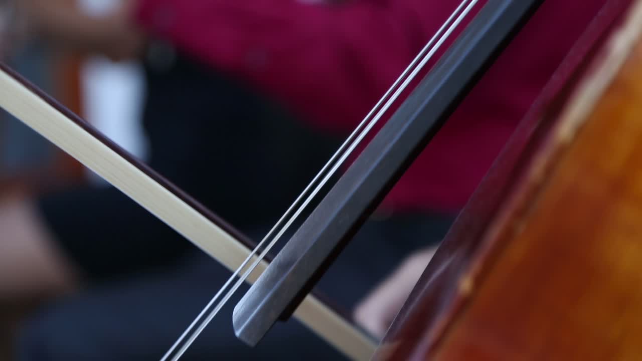 Cellist Playing Cello