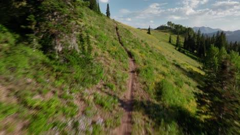 Aerial-over-backcountry-mountain-trail-above-forest-at-sunset