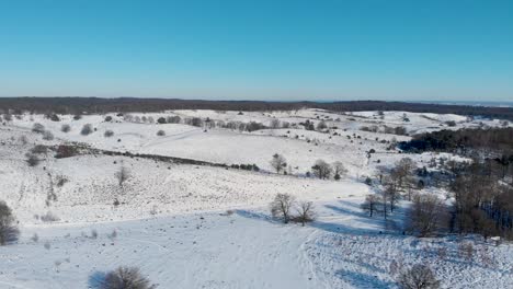 Hügelige-Waldebene-Unter-Schnee,-Arnheim,-Niederlande,-Wolkenloser-Himmel,-Drohne