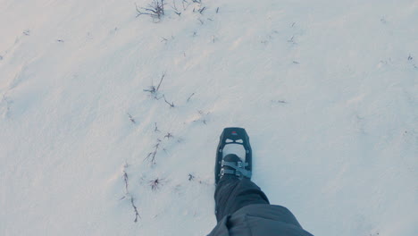 male hiker walking in deep snow with snowshoes on