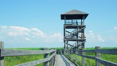 Time-lapse-of-beautiful-white-fast-moving-clouds-and-sky-at-footbridge-path-and-birdwatching-tower-at-lake-Liepaja-reed-field-in-sunny-summer-day,-medium-shot