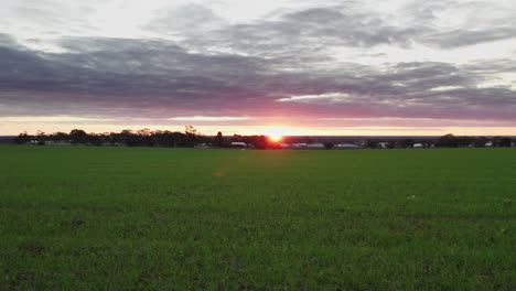 A-drone-shot-over-a-grassy-field-at-sunset