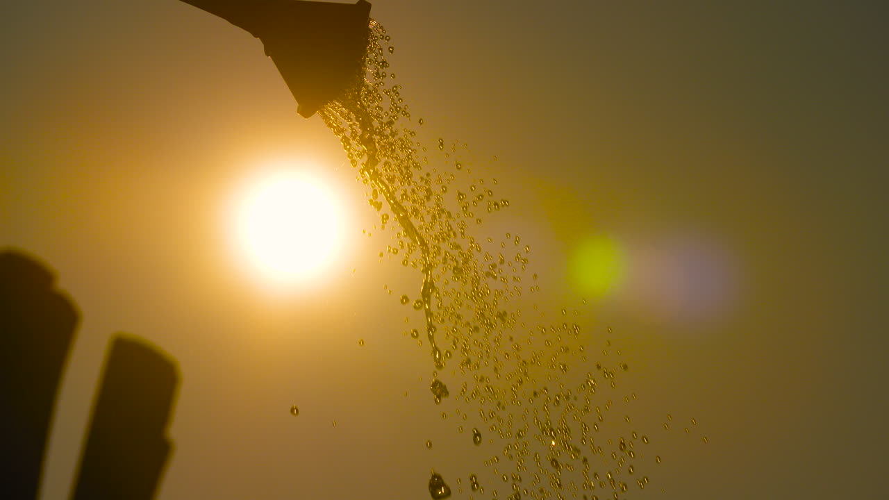 농장 2에서 식물에 물을 주는 여성 농부