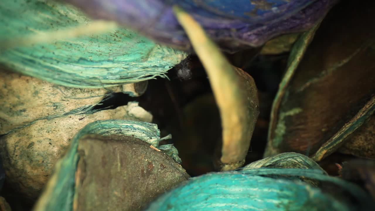 초점이 얕은 다채로운 포푸리 조각이 담긴 꽃병 안팎으로 이동