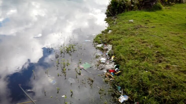 Pan from wooden jetty to clouds reflecting on water to reveal plastic pollution on grassy shoreline